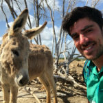 Marcelo Adnet em Donkey Sanctuary Bonaire
