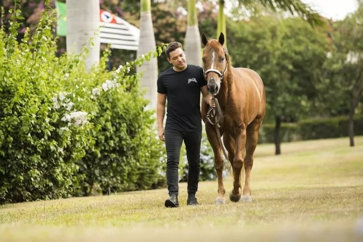 Cantor Wesley Safadão tem investimento milionário na criação de equinos (Foto: Divulgação)