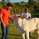 Veja as fotos da fazenda luxuosa do cantor sertanejo Gusttavo Lima (Foto: Vinicius Schimidt/Metrópoles)