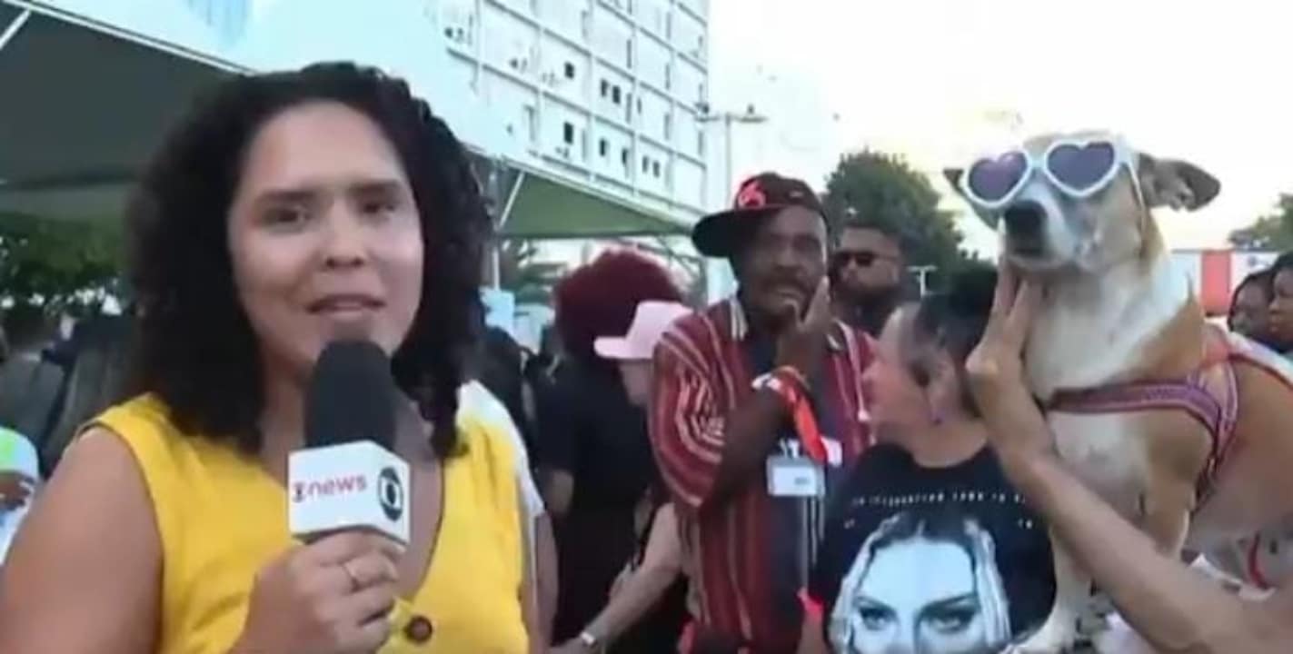 VÍDEO: Repórter da Globo é atacada por cachorro ao vivo durante entrevista