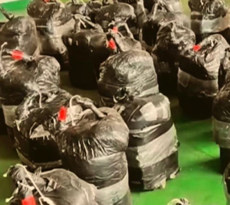 Nova Carga de Cocaína de Origem Brasileira é Apreendida em Las Palmas